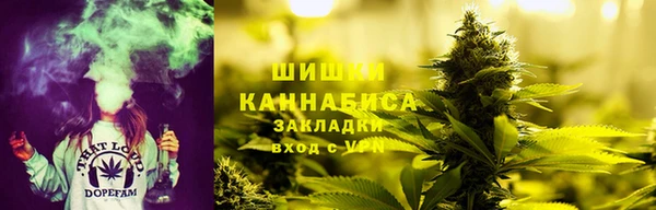 спиды Алзамай