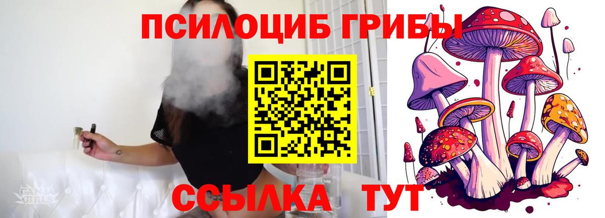 Галлюциногенные грибы мухоморы Георгиевск