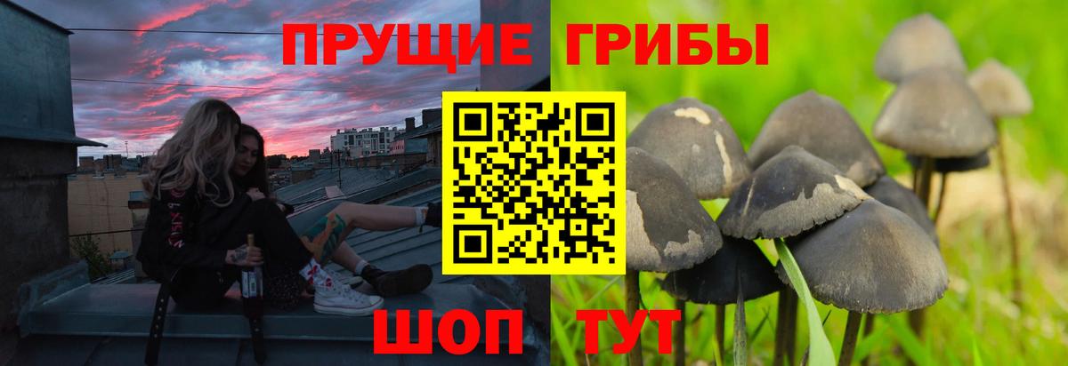 Георгиевск  Галлюциногенные грибы ЛСД  Вход с VPN 